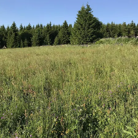 Bouda Na Lucinach Pec pod Sněžkou